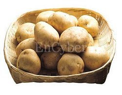 Potato  Made in Korea